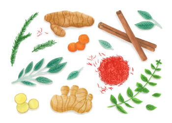 7 Wholesome Herbs and Spices and Their Superpower Advantages