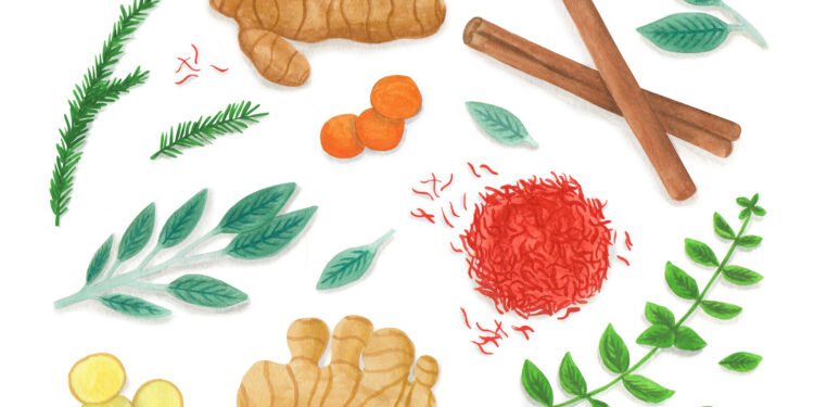 7 Wholesome Herbs and Spices and Their Superpower Advantages