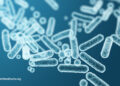 Feeding Our Intestine Microbiome for Higher Well being