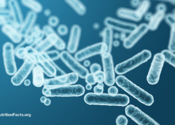 Feeding Our Intestine Microbiome for Higher Well being