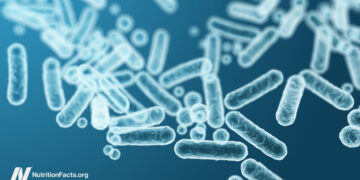 Feeding Our Intestine Microbiome for Higher Well being