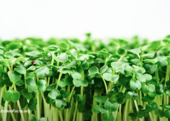 The Greatest Meals to Combat H. Pylori