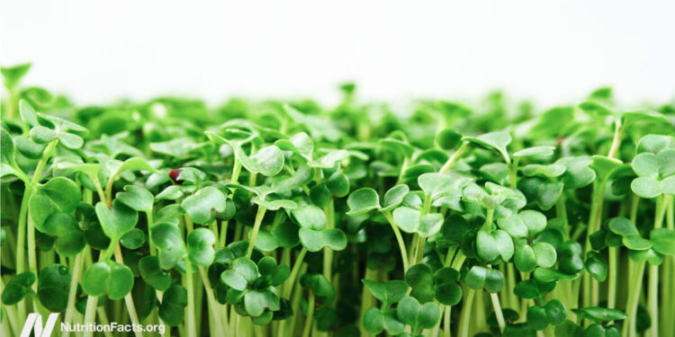 The Greatest Meals to Combat H. Pylori
