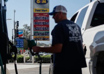The G7 Is Releasing Emergency Gasoline Reserves. How A lot Will It Assist People?