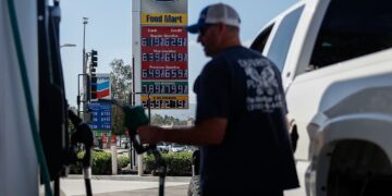 The G7 Is Releasing Emergency Gasoline Reserves. How A lot Will It Assist People?