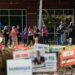 What Early Voting Information Is Exhibiting Concerning the Midterm Elections
