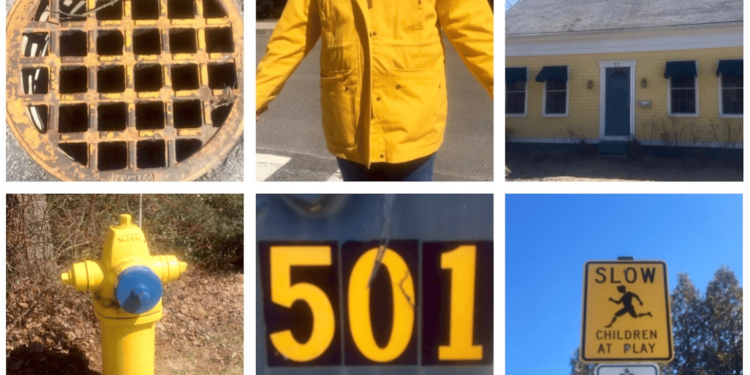 Why You Ought to Flip Your Stroll Right into a Coloration Hunt