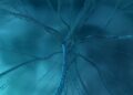 Understanding cognitive restructuring in PTSD