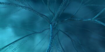 Understanding cognitive restructuring in PTSD