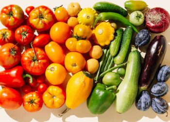 The Advantages of Prescribing Meals as Medication