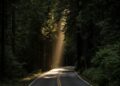 DBT and MBT for BPD with comorbid despair and/or nervousness