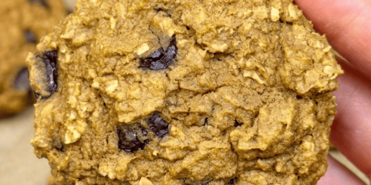 Pumpkin Chocolate Chip Protein Cookies [no added sugar + gluten-free] • Wholesome Helper
