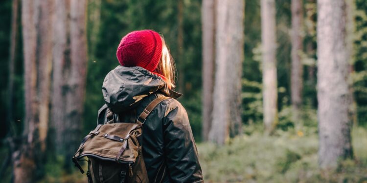 Past the crimson hat: mind networks in premenstrual dysphoric dysfunction